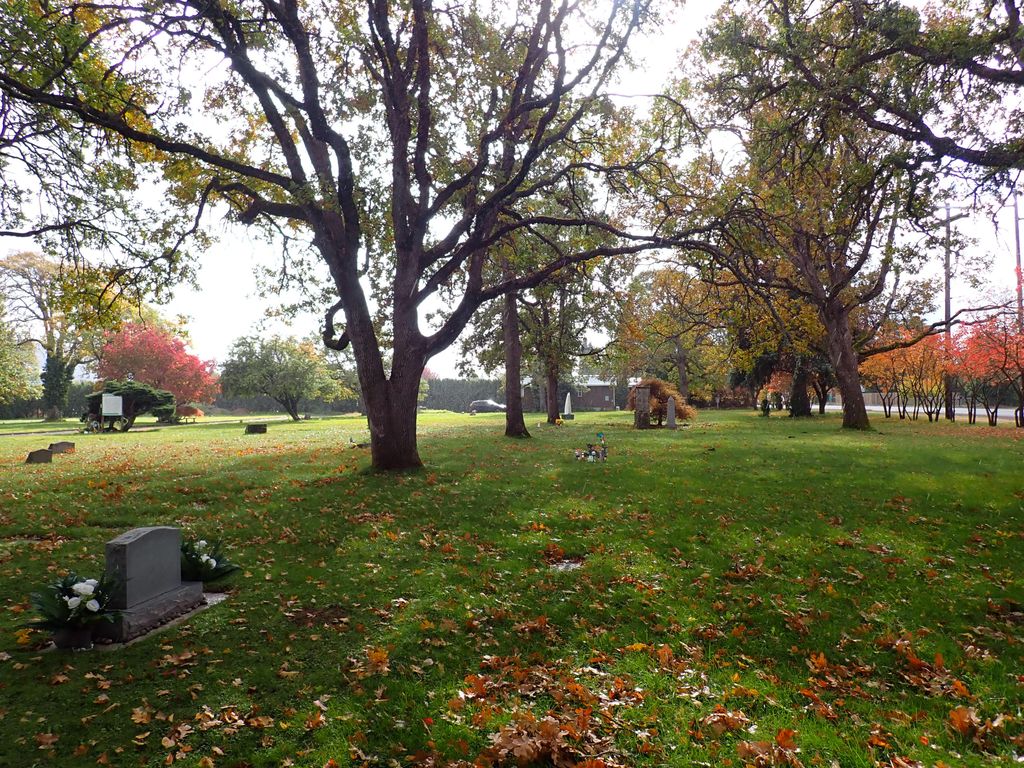 The Psychological Benefits of Memorialization: How honoring loved ones can aid in healing